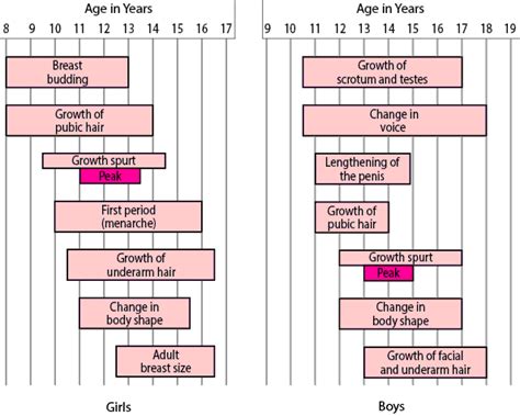 puberty or sexual maturation.